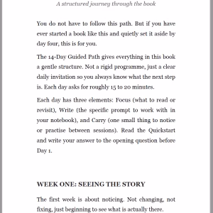 Interior page from Whose Life Are You Living showing Your 14-Day Guided Path structured journey section