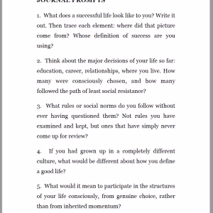 Interior page from Whose Life Are You Living showing The Personal Mirror journal prompts section